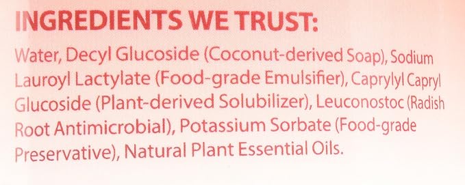 Eco Me Natural Environmentally Friendly Sudsing Liquid Dish Soap, Healthy Citrus Berry Scent, 16 Ounces