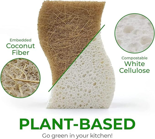 AIRNEX Natural Kitchen Sponges - Image 2