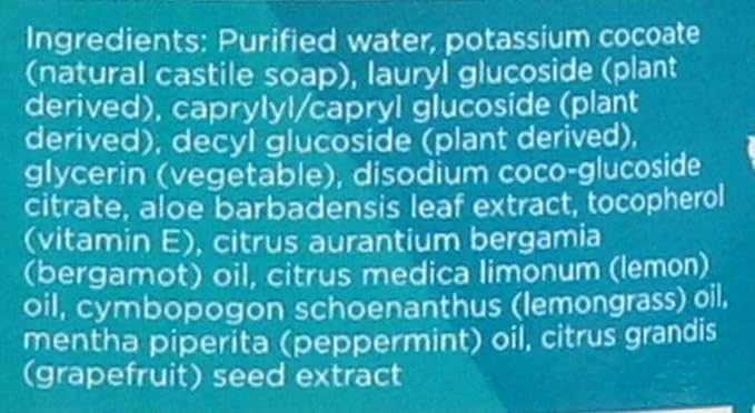 Better Life Dish Soap - Liquid Dishwashing Soap with Vitamin E and Aloe for Home & Kitchen Sink - No Gloves Required Kitchen Soap for Sensitive Skin - 22oz Lemon Mint