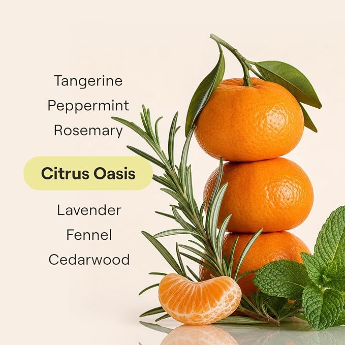 Dish Soap Refill, Citrus Oasis, Makes 5 Bottles