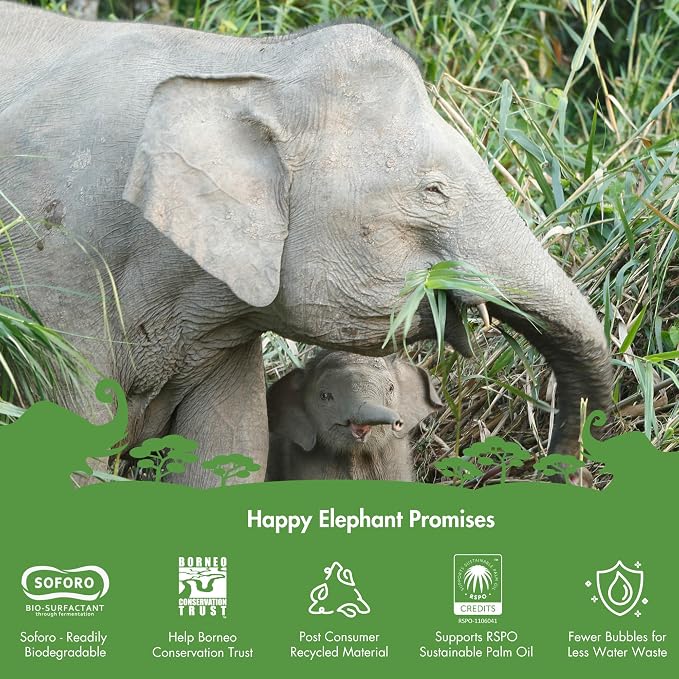 Happy Elephant Dish Soap, White Tea & Fig Scent, Natural Biodegradable Liquid Dish Soap, Plant Based, Grease Fighting, Tough on Food, Gentle on Hands, No Synthetic Fragrance, 12 Fl Oz, 3 Pack