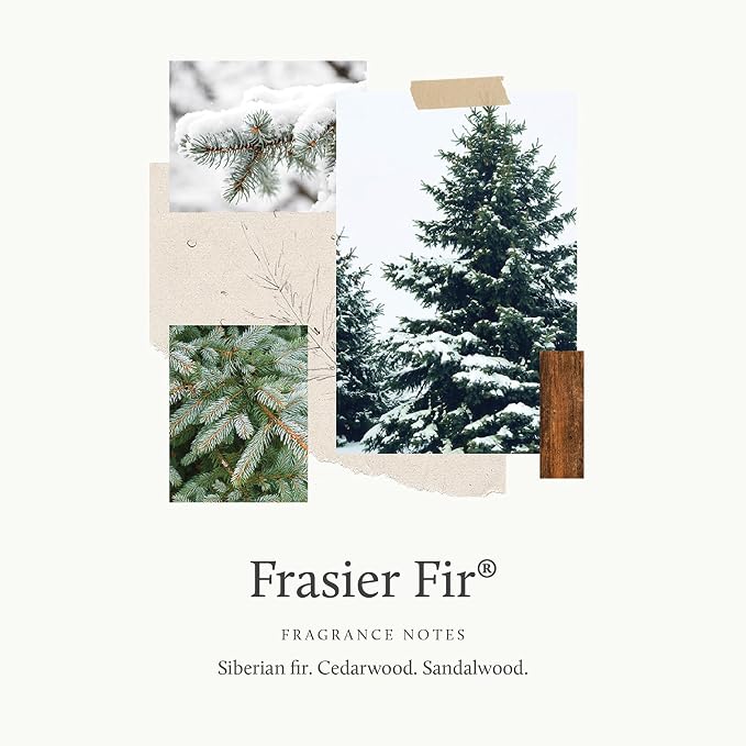 Thymes Dishwashing Liquid (Frasier Fir)